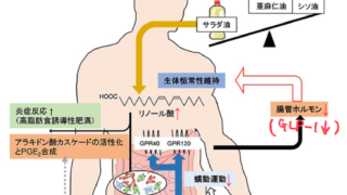 腸から健康を 活性炭を飲む 小倉台福田医院 千葉市若葉区