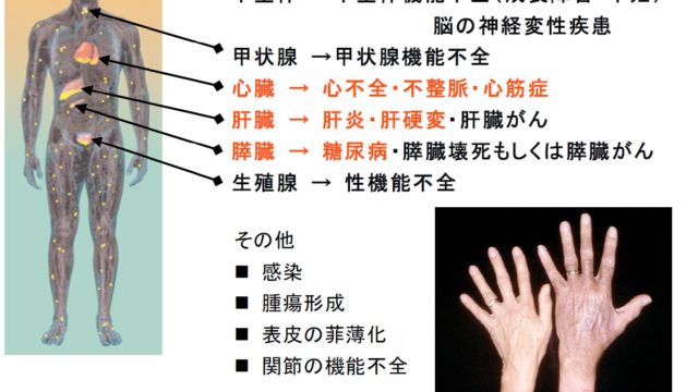 鉄の指標はフェリチンだけじゃない 小倉台福田医院 千葉市若葉区