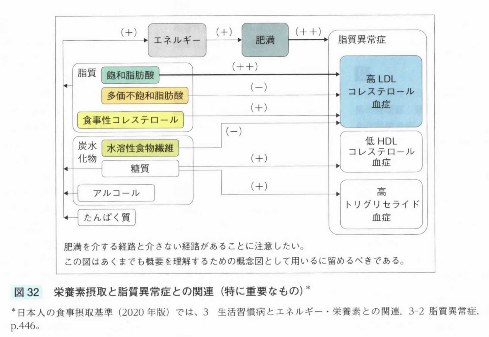 栄養素摂取と脂質異常症の関係 小倉台福田医院 千葉市若葉区